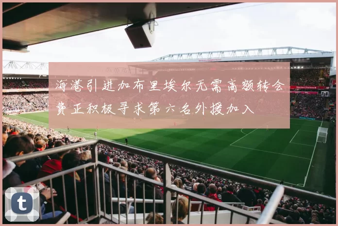 海港引进加布里埃尔无需高额转会费正积极寻求第六名外援加入