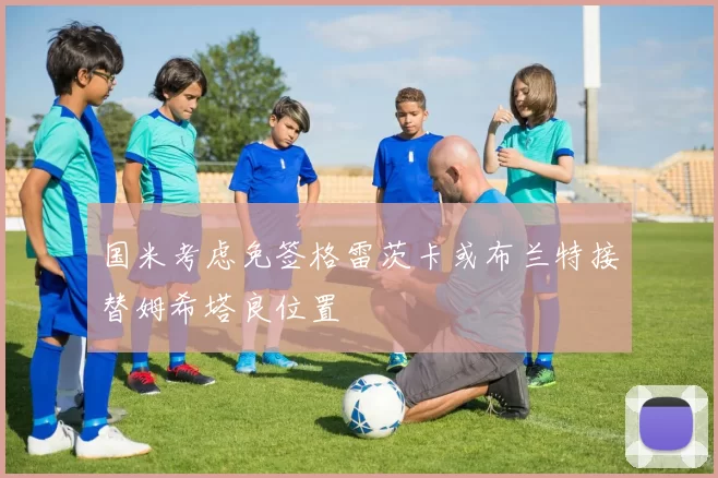 国米考虑免签格雷茨卡或布兰特接替姆希塔良位置