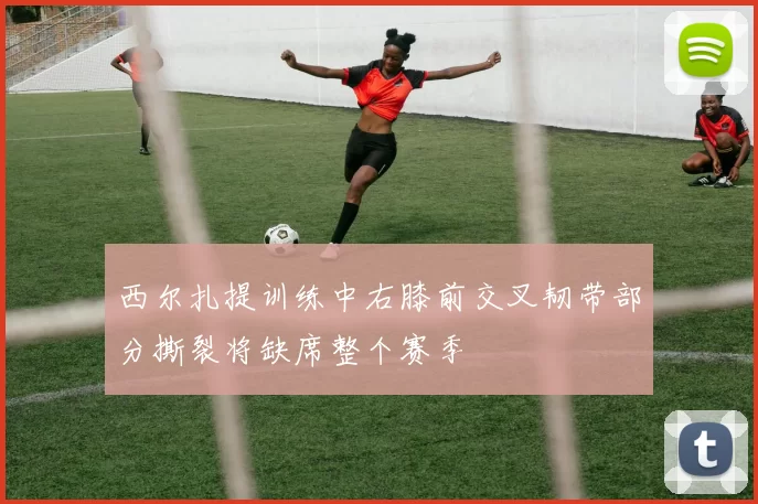 西尔扎提训练中右膝前交叉韧带部分撕裂将缺席整个赛季